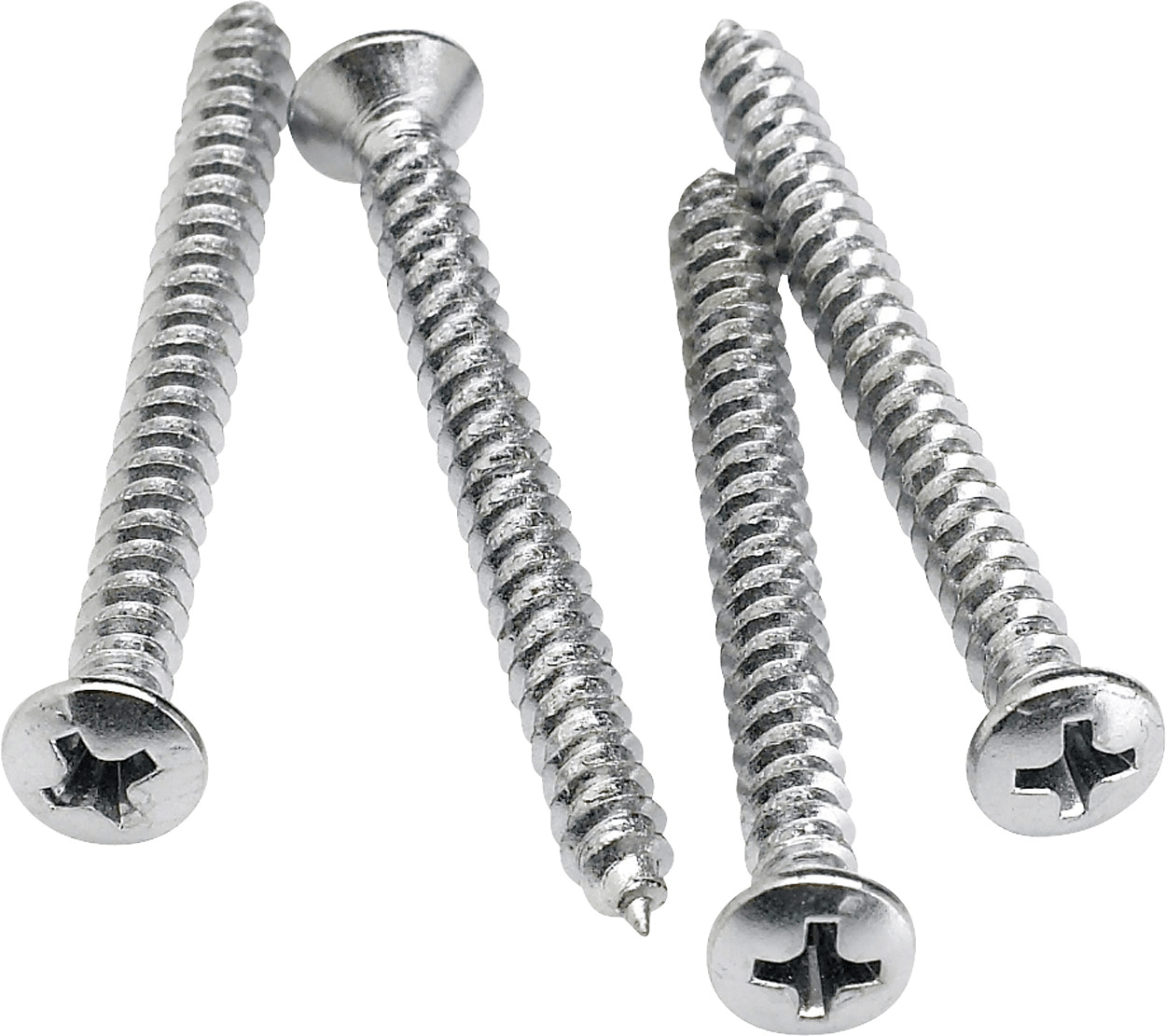 Neck Mounting Screws (4)
