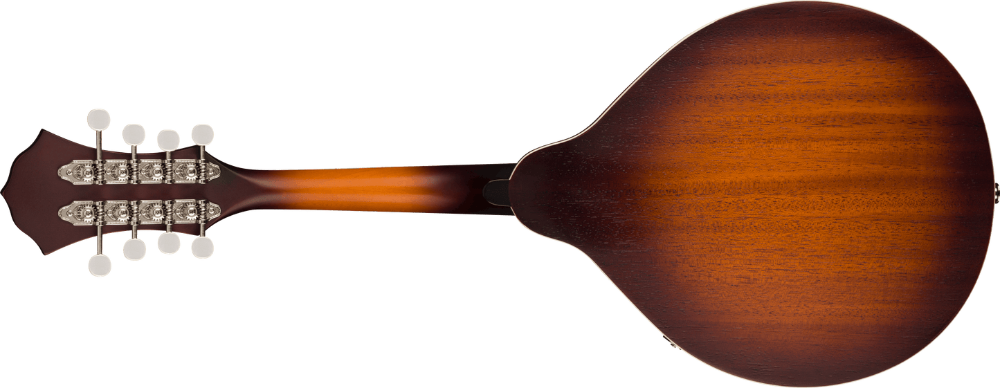 PM-180E Mandolin